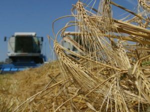 Ukraine buys more and more agricultural products