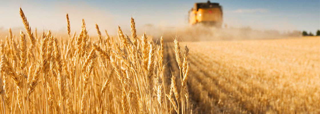 Ukraine buys more and more agricultural products