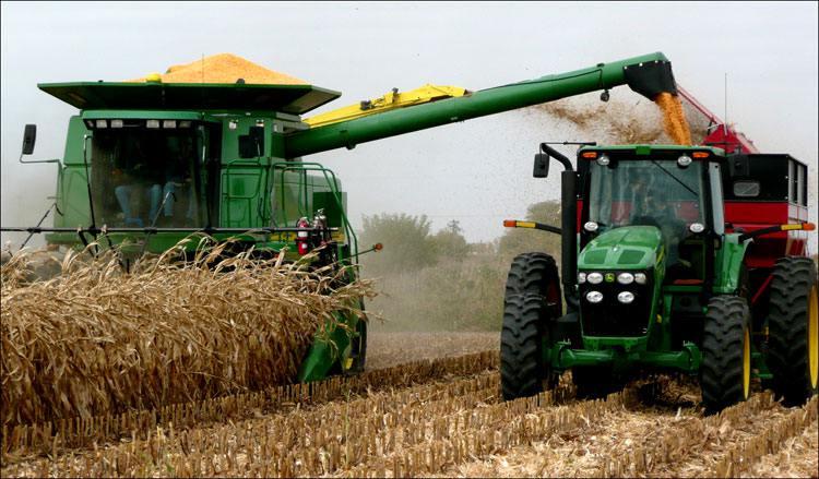 The increase in a harvest of oil-bearing crops by 10% is noted in Kazakhstan