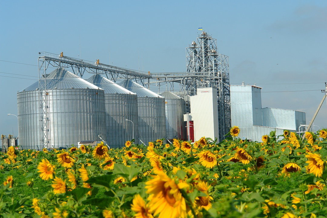 In the Ukrainian storages, nearly 7 million tons of sunflower are kept