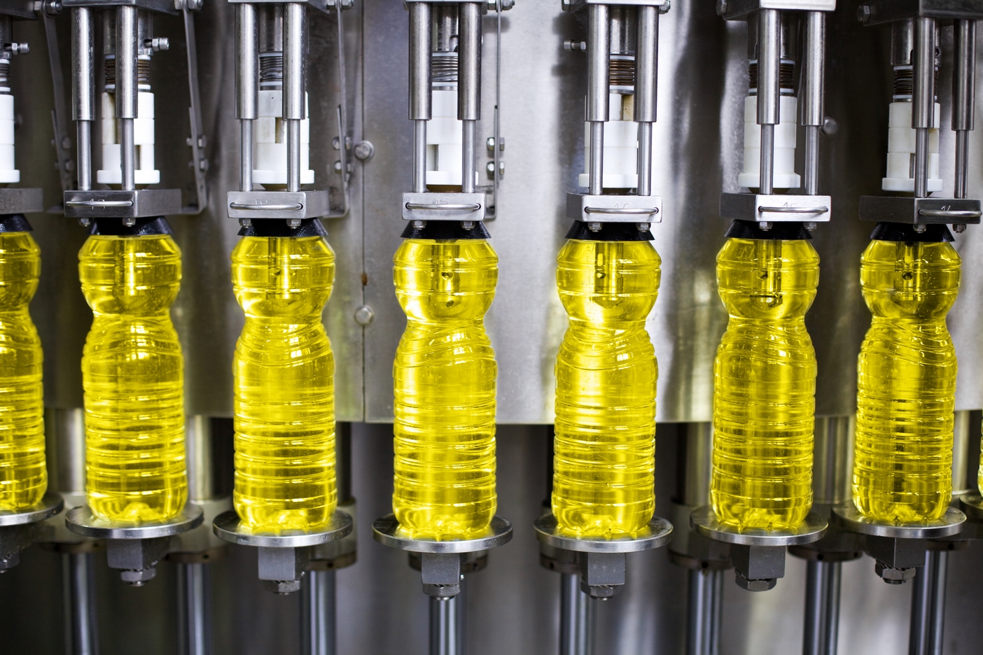 Record production of vegetable oil on a global scale