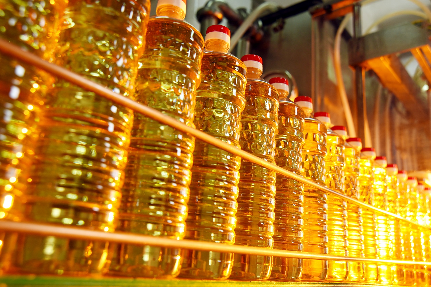 Ukraine increased the production of sunflower oil by 17%